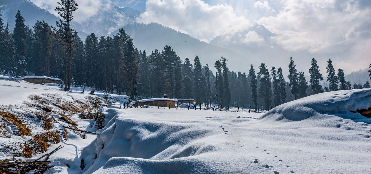 Best Places to Visit in December in India: Winter Vacation With Tripkaro