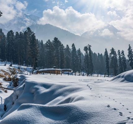 Best Places to Visit in December in India: Winter Vacation With Tripkaro