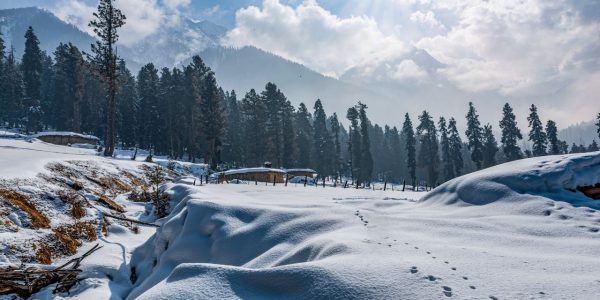 Best Places to Visit in December in India: Winter Vacation With Tripkaro