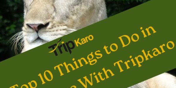 Top 10 Things to Do in Singapore With Tripkaro