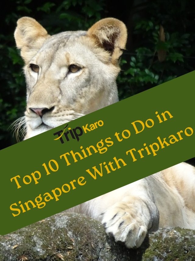 Top 10 Things to Do in Singapore With Tripkaro