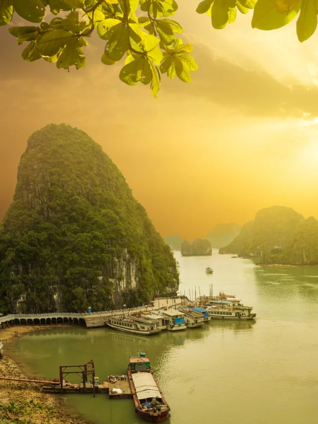 Vietnam Family Tours 2024: Trip Planning With Tripkaro