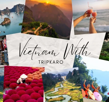 Explore Vietnam in 2025 With the Best Travel Agency in Jaipur