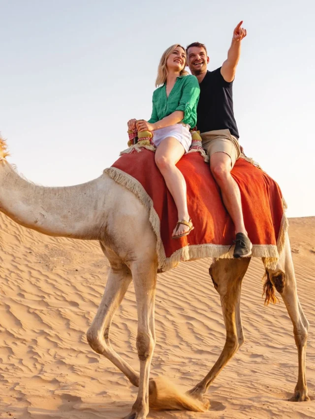 Dubai Travel Guide: A One-Week Itinerary for First-Time Visitors with Tripkaro