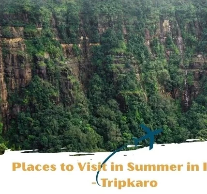 best travel agency n Jaipur