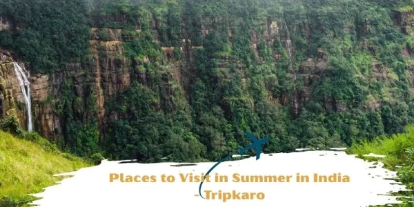 best travel agency n Jaipur