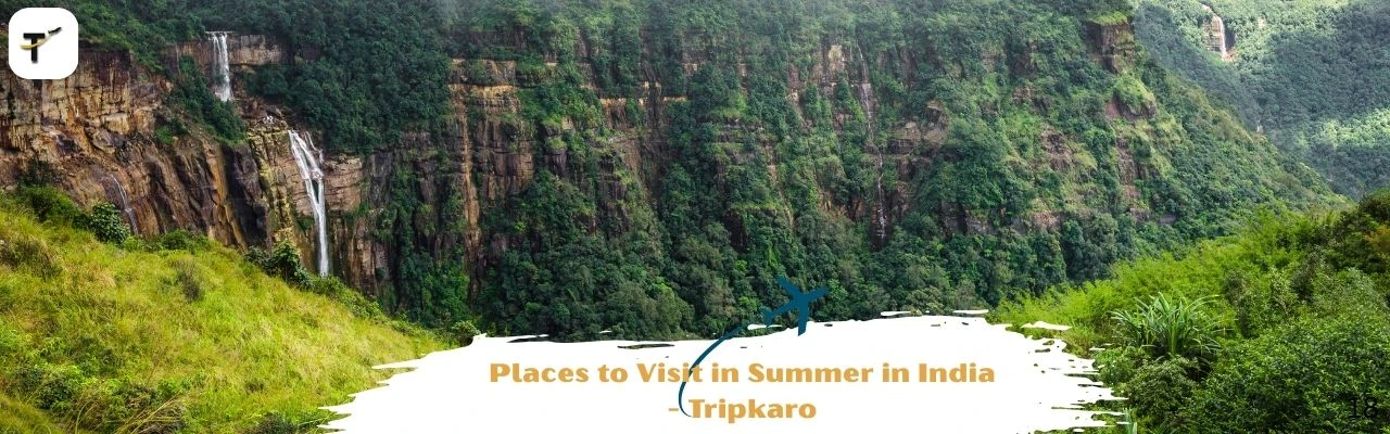 best travel agency n Jaipur