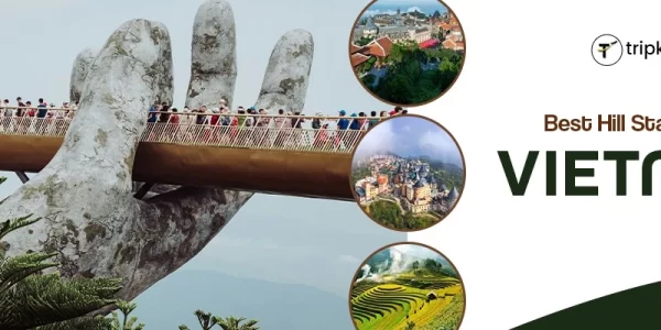 best travel agency